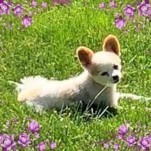 Meet your Posher, Deborah